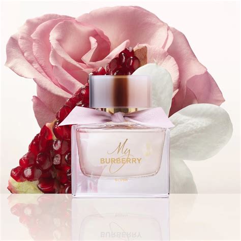 burberry my burberry blush eau de parfum 30ml